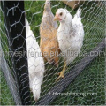 Mesh di filo di pollo esagonale zincata